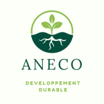 Aneco-logo